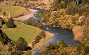 Trout Fishing Trout Fishing
