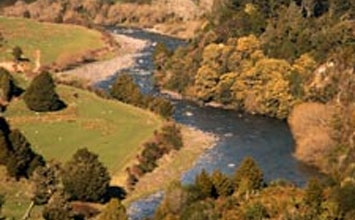 Trout Fishing